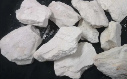 Vidarikand&nbsp; image